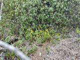 ZACATON Development Parcel - Photo 15