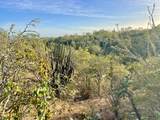 ZACATON Development Parcel - Photo 16
