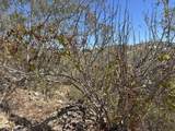 1 Animas Bajas - Photo 4