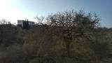  Address Not Published Lote 49 - Photo 7