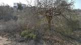  Address Not Published Lote 49 - Photo 8