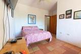 11 Nopal - Photo 13