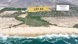  Todos Santos - Photo 3