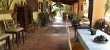  Sin Name - Photo 22