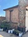  Calle Sin Nombre - Photo 18