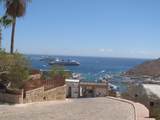 L 35/19 Pedregal, Camino Grande - Photo 11