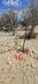 ABP#46 Sur Los Barriles-Santa Teresa - Photo 3