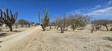 ABP#46 Sur Los Barriles-Santa Teresa - Photo 4