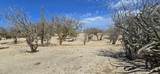 ABP#46 Sur Los Barriles-Santa Teresa - Photo 5