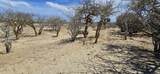 ABP#46 Sur Los Barriles-Santa Teresa - Photo 6