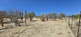 ABP#46 Sur Los Barriles-Santa Teresa - Photo 7