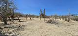 ABP#46 Sur Los Barriles-Santa Teresa - Photo 8