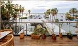 2620 Topete Calle - Photo 7