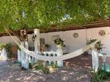 1030 Calle Lic. Primo Verdad - Photo 30