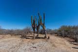 Lot 21-B Manzana II - Photo 13