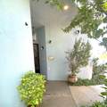 16 Cabo Vista - Photo 3
