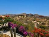  Cerro Colorado - Photo 17