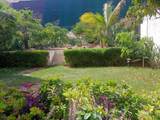 11 Nopal - Photo 22