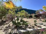 11 Nopal - Photo 25