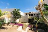 11 Nopal - Photo 27