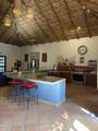 9 Mutualismo - Photo 7
