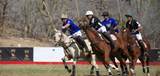 Lot # 3 (Rolling Hills) - Photo 2