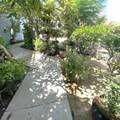 16 Cabo Vista - Photo 4