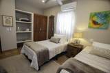 9 Mutualismo - Photo 22
