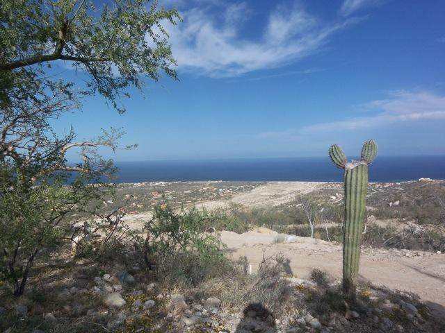 Rancho Cerro - Photo 1