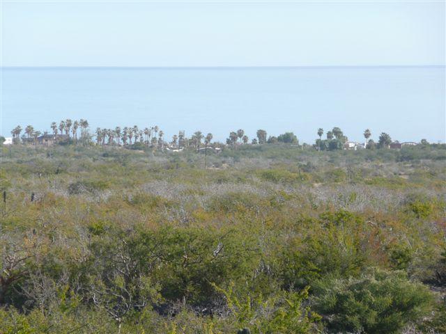 Sea View Estates - Photo 1