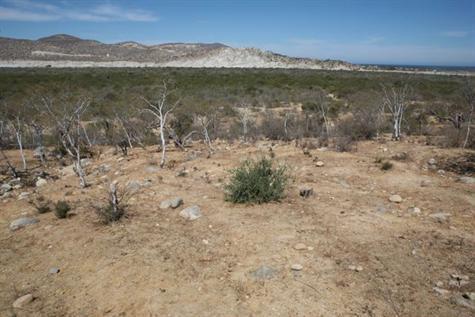 Sierra View Lot 8 - Photo 1