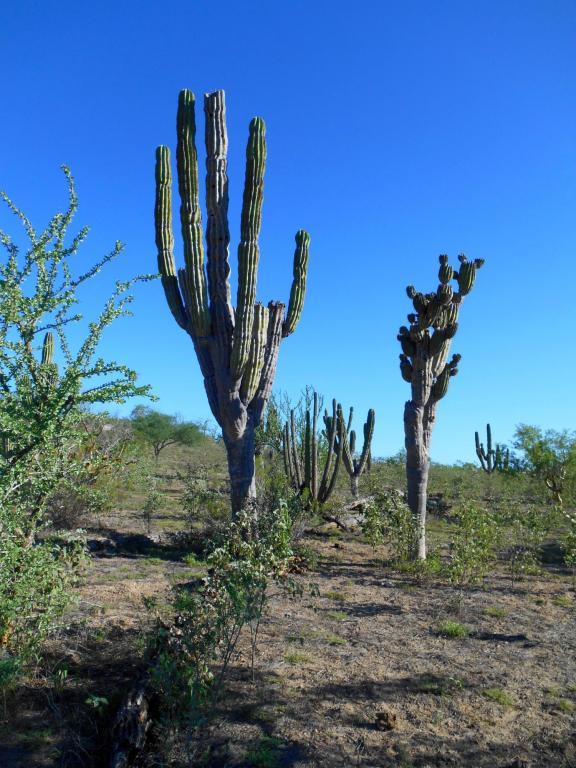 km 44 Carretera Principal - Photo 1