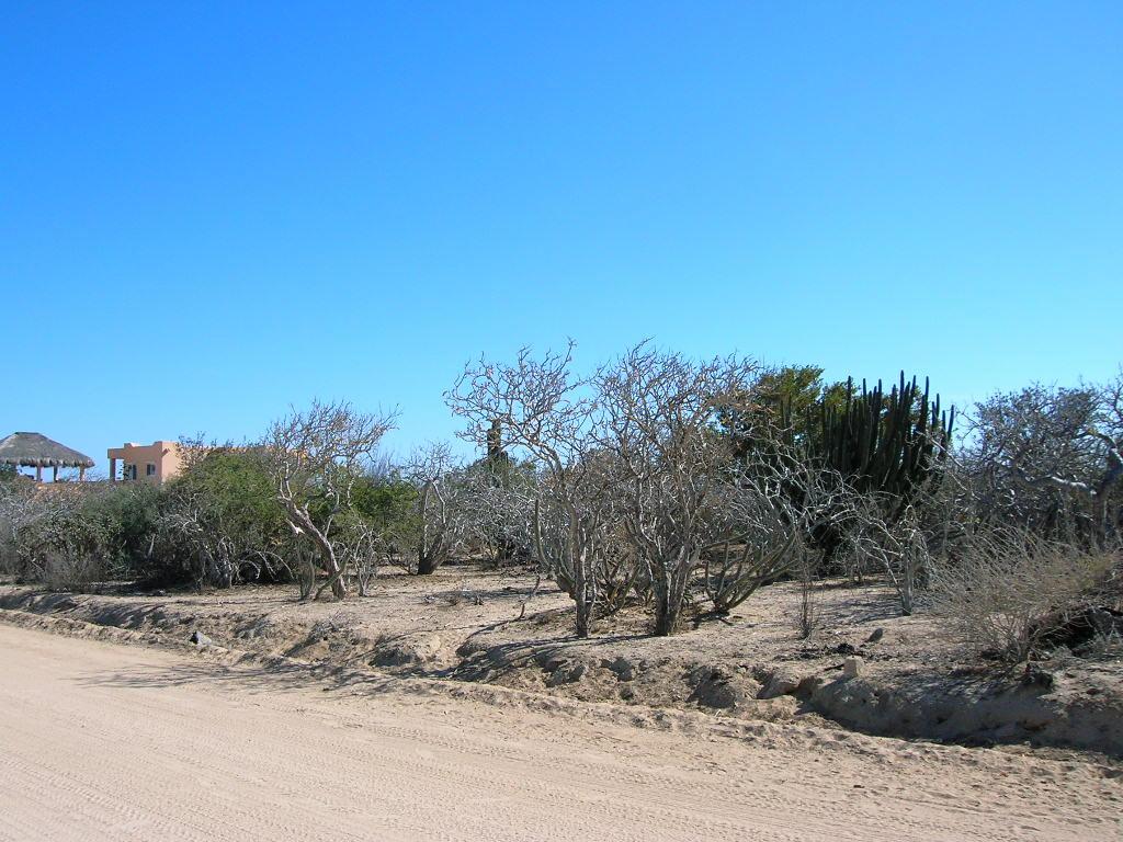 Lot 44 Bahia Terranova - Photo 1