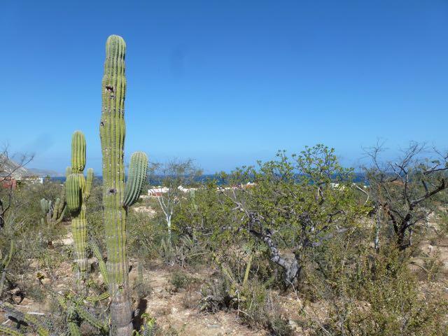 Calle Lado De Ladera - Photo 1