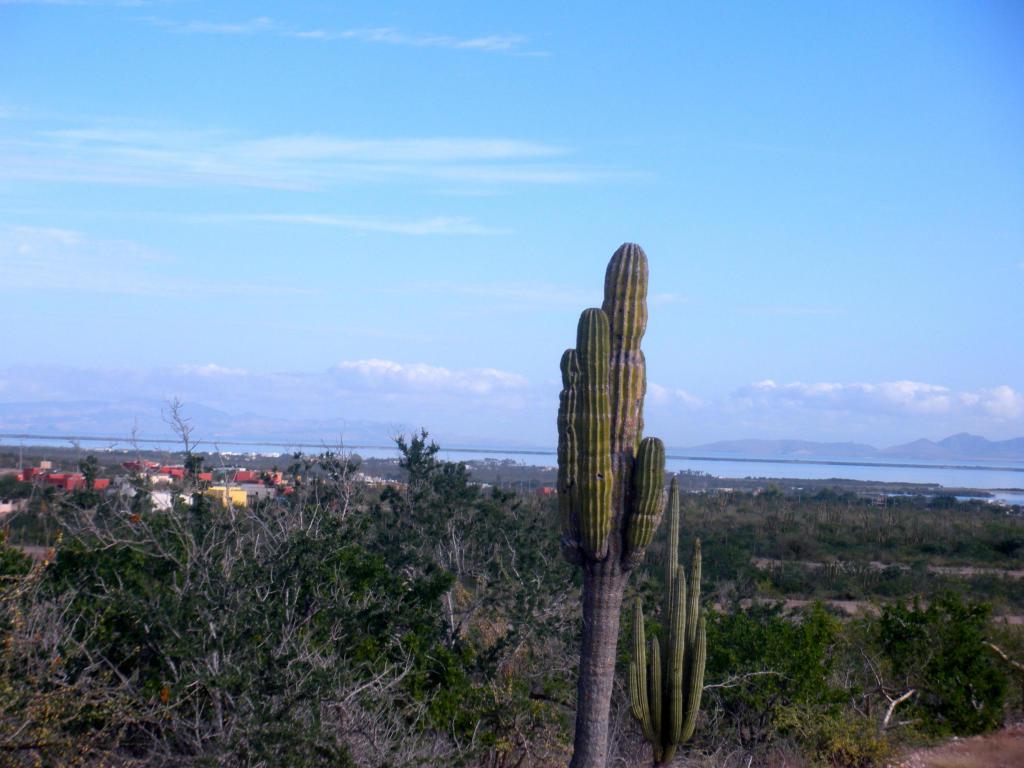 Calle 8 - Photo 1
