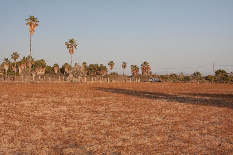 Calle Los Mangos Lot - Photo 1