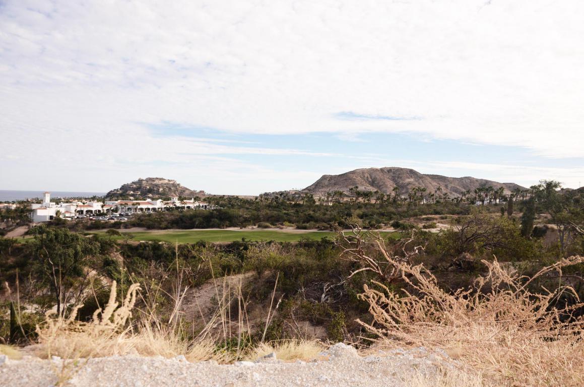 Palo Verde - Photo 1