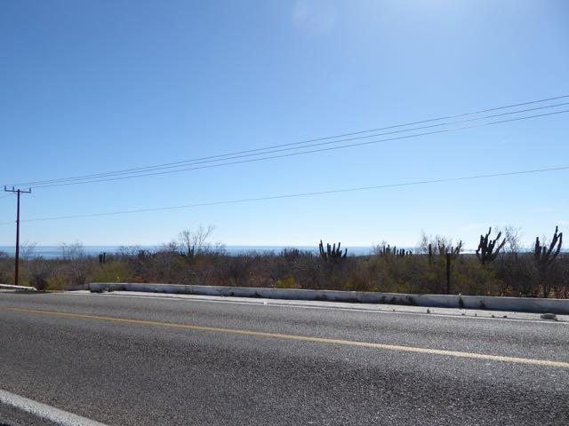 Buena Vista Hwy #1 - Photo 1