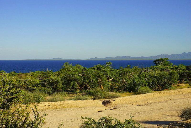 Vista Sotol 2 Acre Lot - Photo 1