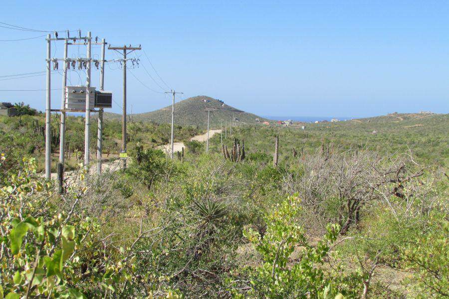 Lot1115/1116 Hwy Los Cerritos, - Photo 1