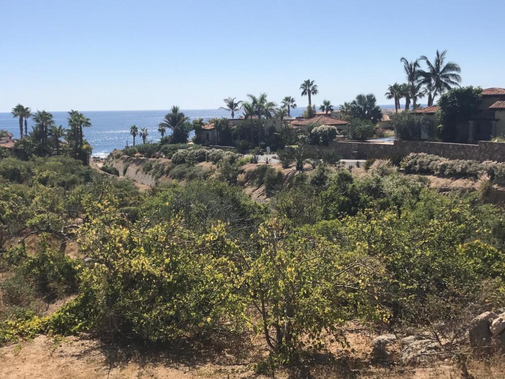 218 Camino De La Palma - Photo 1