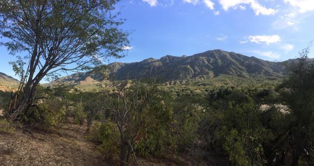 San Felipe - Photo 1