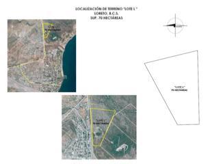 El Jaral - Photo 1