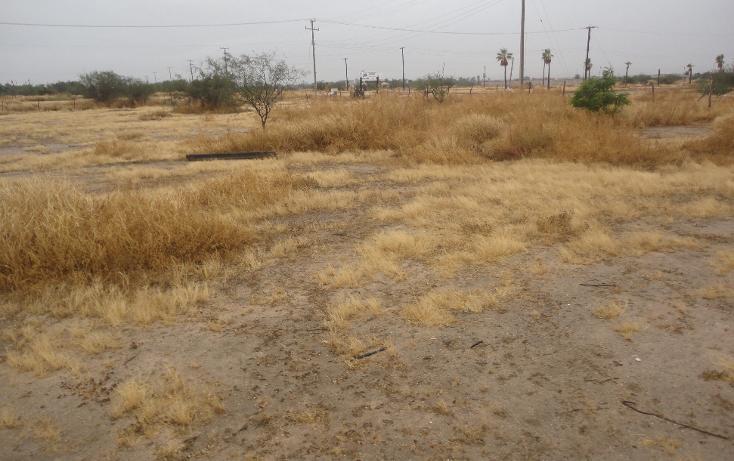 L-23 M-10 Paseo De Los Laureles - Photo 1