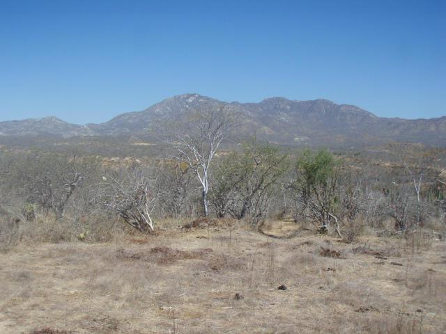 Las Vinoramas - Photo 1