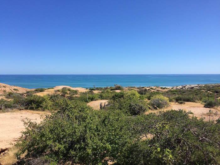 Lot 9 Caballo De Viento - Photo 1