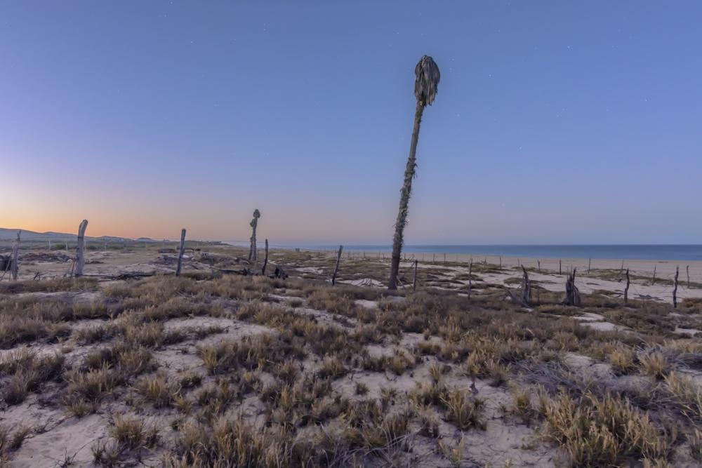 Highway 19 - Photo 1