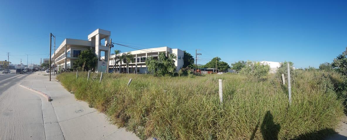 Av. Leona Vicario - Photo 1