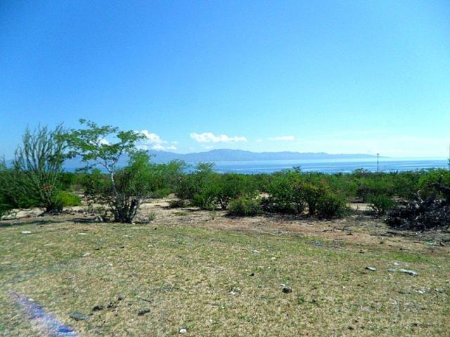 Panoramic View - Photo 1