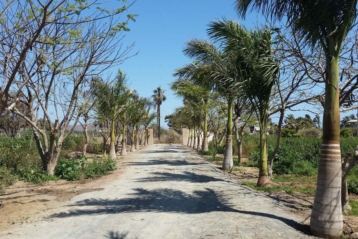 Rancho Pescadero - Photo 1